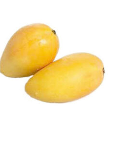 Xoài cát Tiền Giang